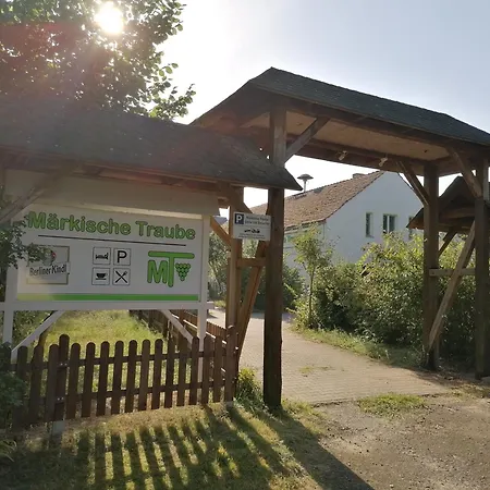 Märkische Traube Idyllisches Für Selbsversorger *