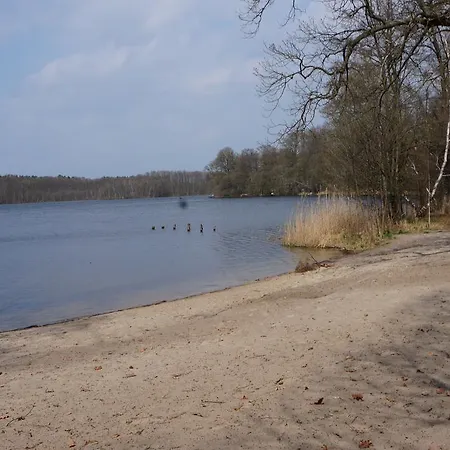 Märkische Traube Idyllisches Garni * Zesch