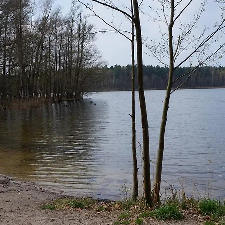 Märkische Traube Idyllisches Garni Zesch